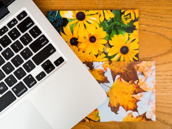 Part of a laptop keyboard, positioned on a wooden desk. Two photos are sticking out from under the keyboard - one of yellow daisies, the other of yellow leaves.